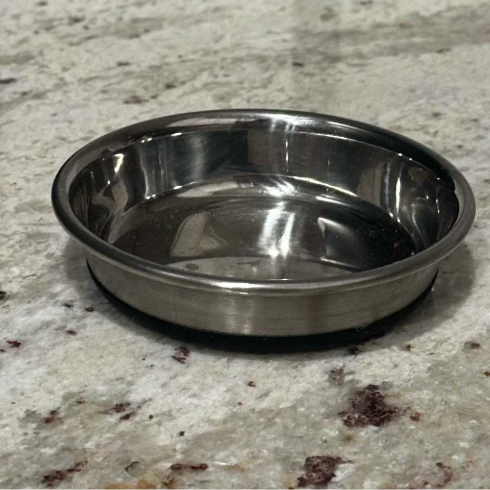Stainless Steel Pet Bowl - Silver